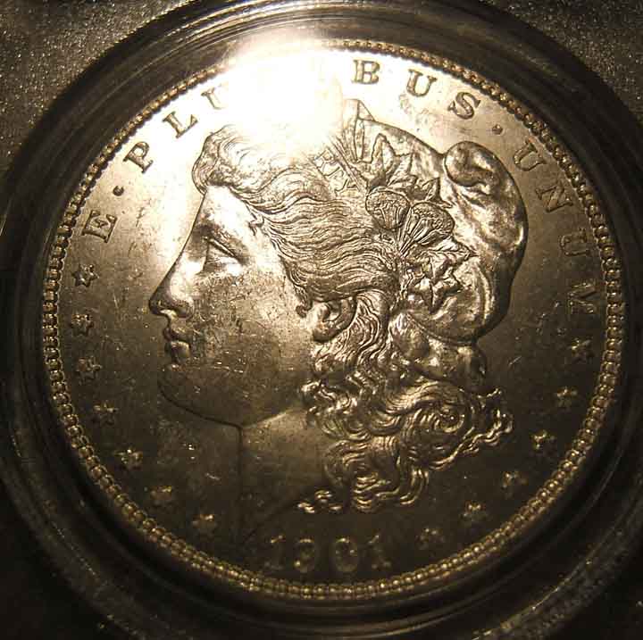 Three-Morgans-For-Grading...
